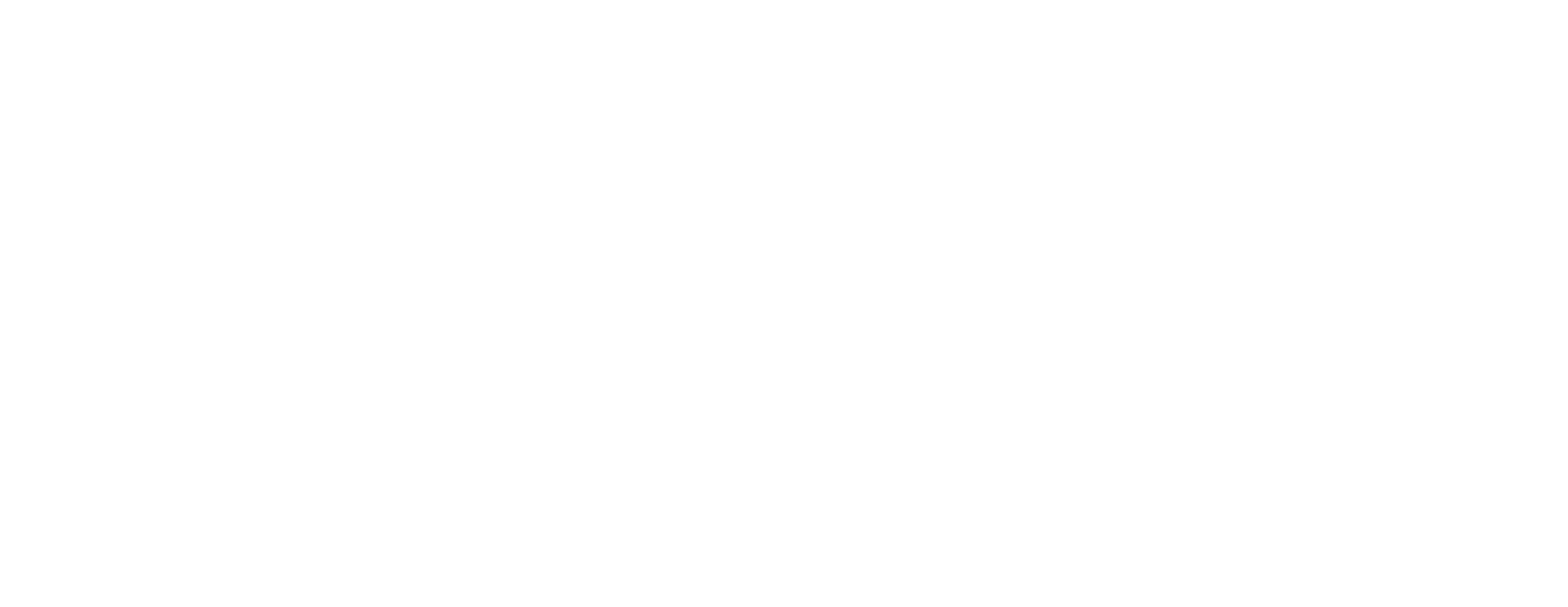 Conferência Raízes